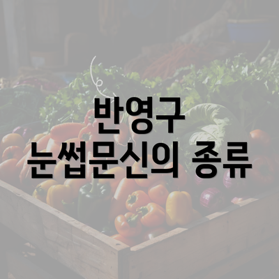 반영구 눈썹문신의 종류