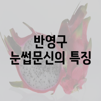 반영구 눈썹문신의 특징