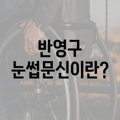 반영구 눈썹문신이란?