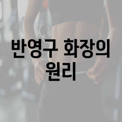 반영구 화장의 원리