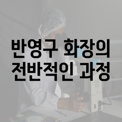 반영구 화장의 전반적인 과정