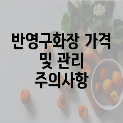 반영구화장 가격 및 관리 주의사항