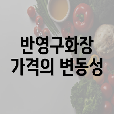 반영구화장 가격의 변동성