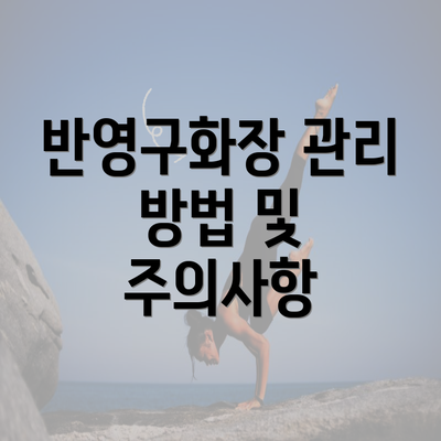 반영구화장 관리 방법 및 주의사항