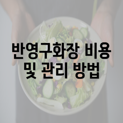 반영구화장 비용 및 관리 방법