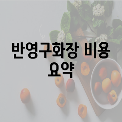 반영구화장 비용 요약