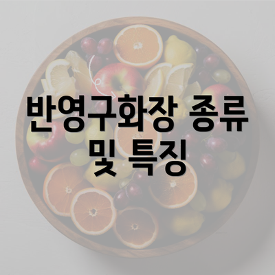 반영구화장 종류 및 특징