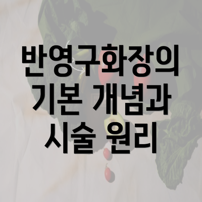 반영구화장의 기본 개념과 시술 원리