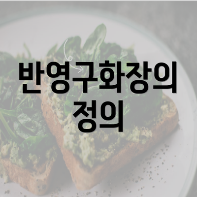 반영구화장의 정의