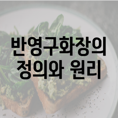 반영구화장의 정의와 원리