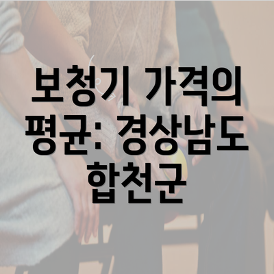 보청기 가격의 평균: 경상남도 합천군