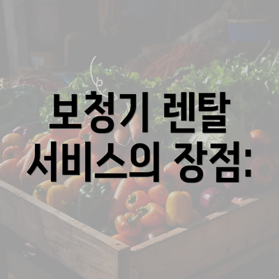 보청기 렌탈 서비스의 장점: