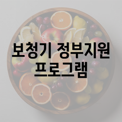 보청기 정부지원 프로그램