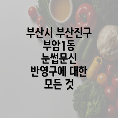 부산시 부산진구 부암1동 눈썹문신 반영구에 대한 모든 것