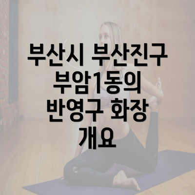 부산시 부산진구 부암1동의 반영구 화장 개요