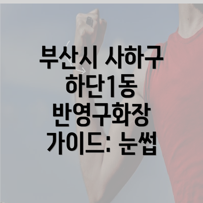 부산시 사하구 하단1동 반영구화장 가이드: 눈썹