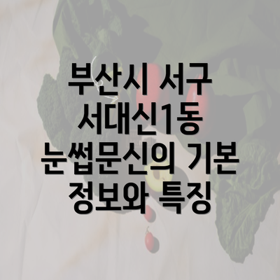 부산시 서구 서대신1동 눈썹문신의 기본 정보와 특징