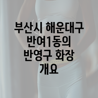 부산시 해운대구 반여1동의 반영구 화장 개요