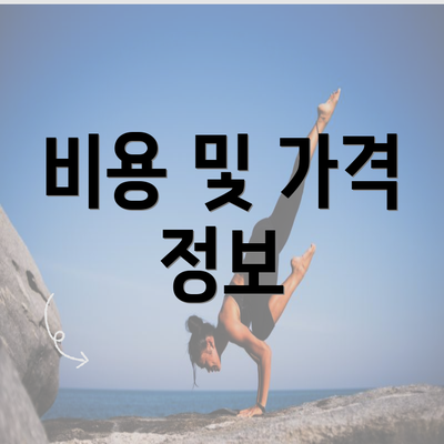 비용 및 가격 정보