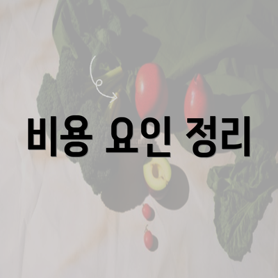 비용 요인 정리