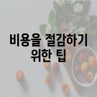 비용을 절감하기 위한 팁