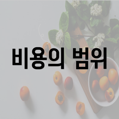 비용의 범위