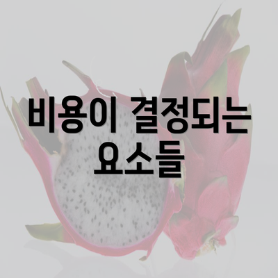 비용이 결정되는 요소들