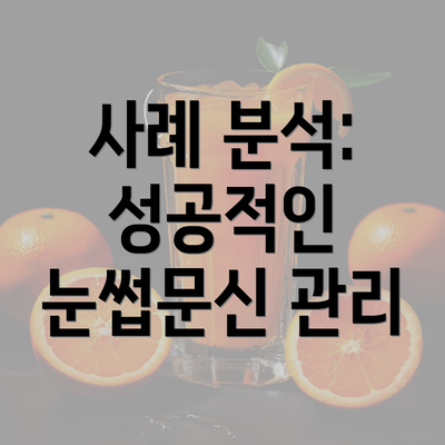 사례 분석: 성공적인 눈썹문신 관리