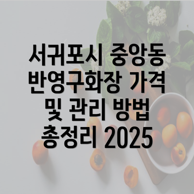 서귀포시 중앙동 반영구화장 가격 및 관리 방법 총정리 2025