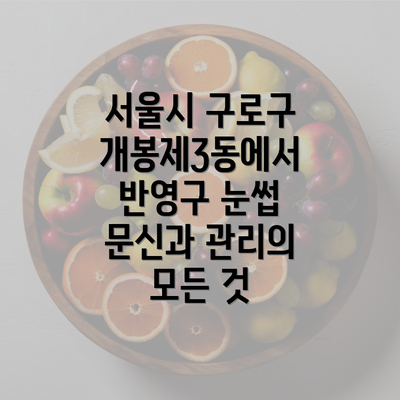 서울시 구로구 개봉제3동에서 반영구 눈썹 문신과 관리의 모든 것