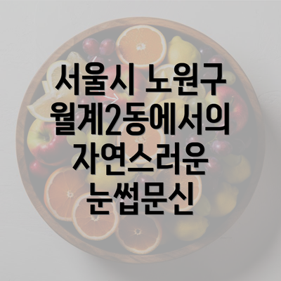 서울시 노원구 월계2동에서의 자연스러운 눈썹문신