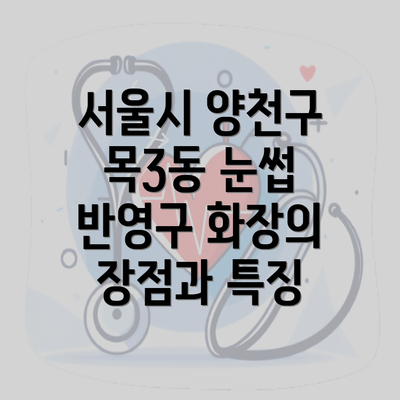 서울시 양천구 목3동 눈썹 반영구 화장의 장점과 특징