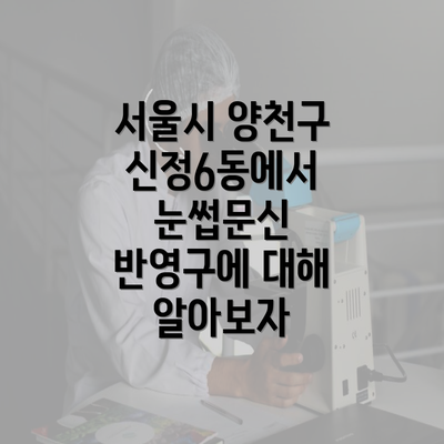 서울시 양천구 신정6동에서 눈썹문신 반영구에 대해 알아보자