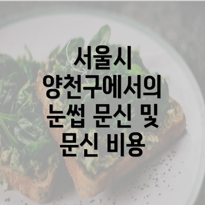 서울시 양천구에서의 눈썹 문신 및 문신 비용