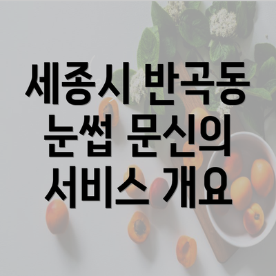 세종시 반곡동 눈썹 문신의 서비스 개요