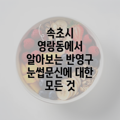 속초시 영랑동에서 알아보는 반영구 눈썹문신에 대한 모든 것