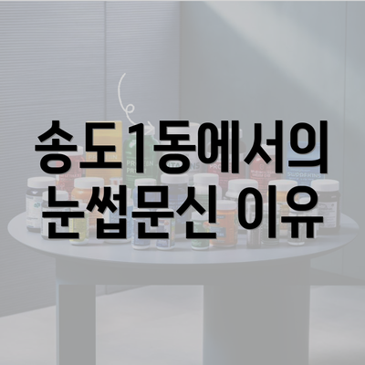 송도1동에서의 눈썹문신 이유