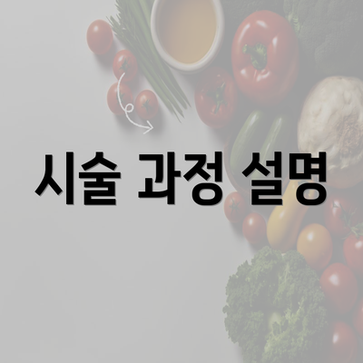 시술 과정 설명