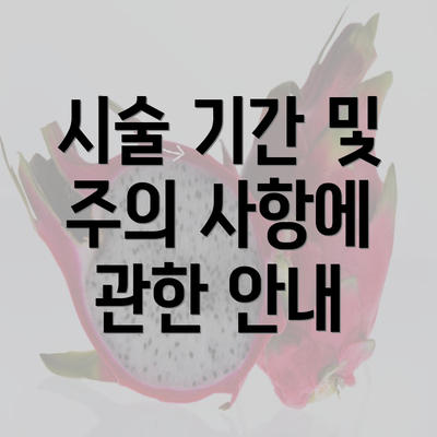 시술 기간 및 주의 사항에 관한 안내