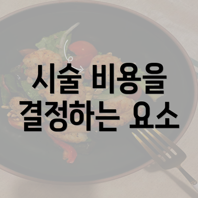 시술 비용을 결정하는 요소