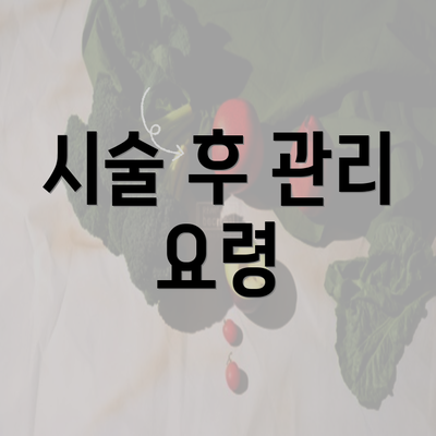 시술 후 관리 요령