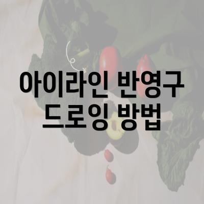 아이라인 반영구 드로잉 방법