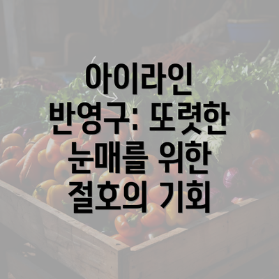 아이라인 반영구: 또렷한 눈매를 위한 절호의 기회