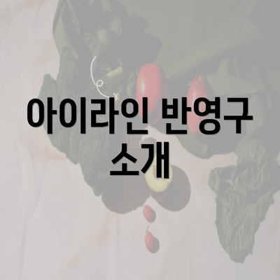 아이라인 반영구 소개