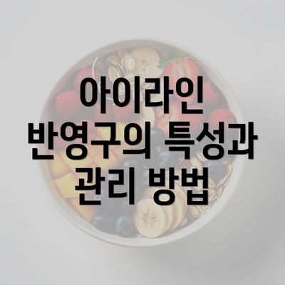 아이라인 반영구의 특성과 관리 방법