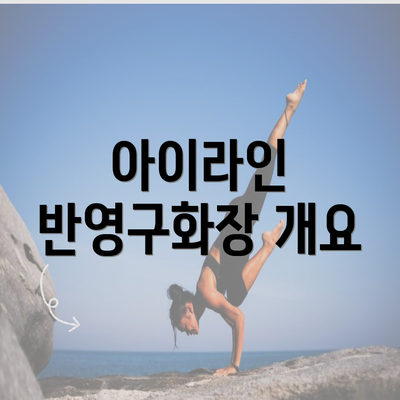 아이라인 반영구화장 개요