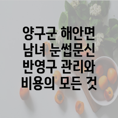 양구군 해안면 남녀 눈썹문신 반영구 관리와 비용의 모든 것