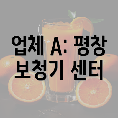 업체 A: 평창 보청기 센터