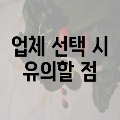 업체 선택 시 유의할 점