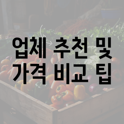 업체 추천 및 가격 비교 팁